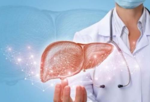 西红柿|夏季养生,先养肝!建议:这5种蔬菜常吃,或有利肝部健康