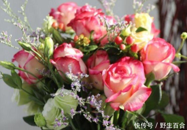 几种漂亮花,好打理,有阳光就爆盆,给点水就疯长