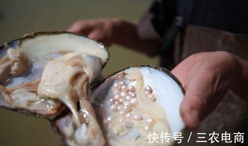 紫色#珍珠也要看品相,其实紫色珍珠并不值钱,看完就懂了!