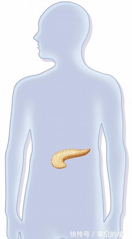 2型糖尿病|缺啥会导致糖尿病？吃啥能补充？看完你会对糖尿病有更深的认识