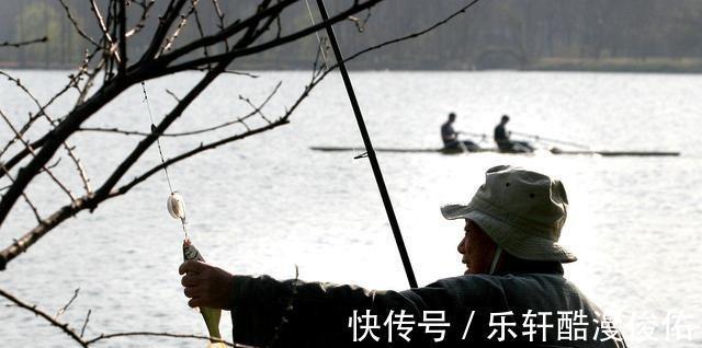 江苏盐城出现天然“鲈鱼黑坑”，最大的二三十斤，网友适当索取