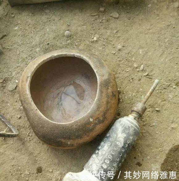 花友|大爷用石头来养花,越养越值钱,有人出1000块也不卖!