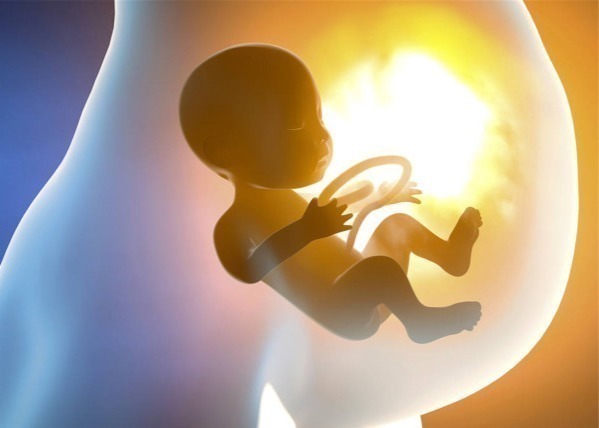 子宫内膜|子宫“孕育记”从怀孕到分娩，会经历5个变化，当妈不易！