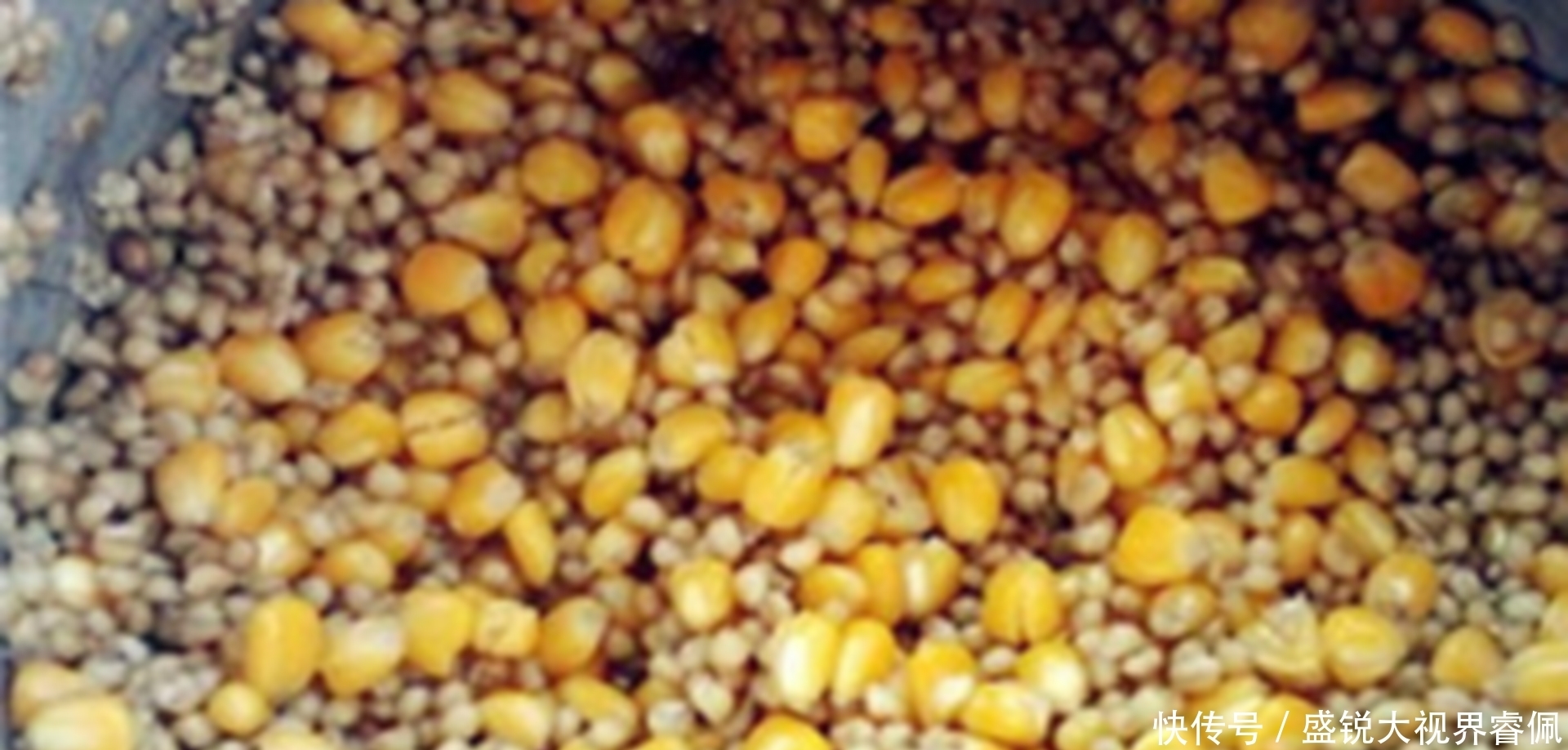 鲤鱼|夏季野钓还在傻傻打重窝，老钓友这种方法，大鲤鱼钓得手软