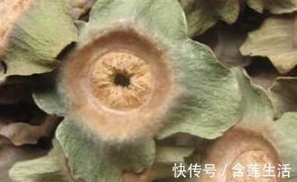 单宁|痔疮作祟,“天然药库”柿子就能帮到你,但要注意别犯这两个错