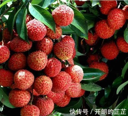 补气|女人需要补气补血吃什么医生提醒，或可多吃这4物