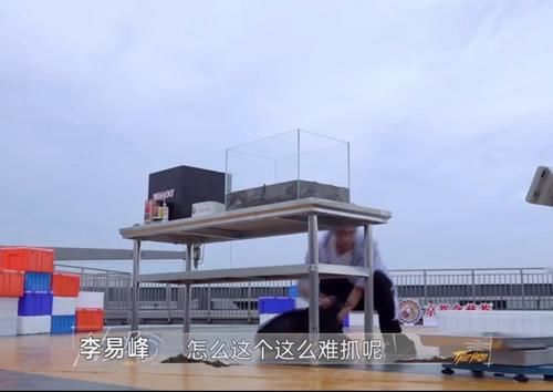 秦霄贤|清一色五星好评，这部黑马综艺，凭什么能让观众笑得“人仰马翻”