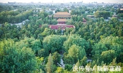 紫禁城|故宫后面，那座被称为景山的小山，有没有其他的名称呢