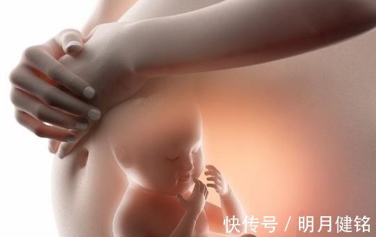 胎动|孕妈肚子一弹一弹的,可能不是胎动,也许宝宝正忙着做“此件事”
