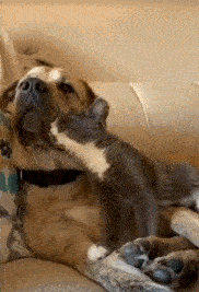 |搞笑GIF段子:笔记本还可以这样玩