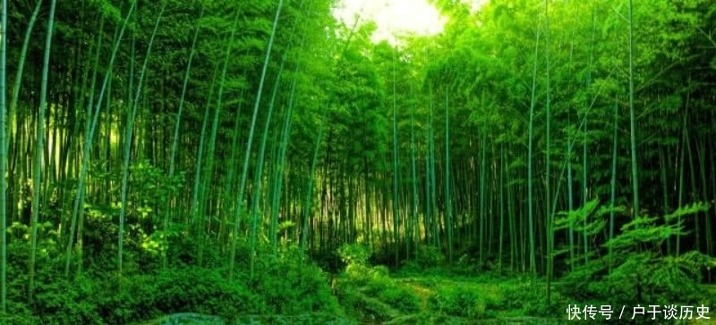 苏轼喝醉了酒信手拈来,却是成就一首经典,通篇美得令人惊艳!