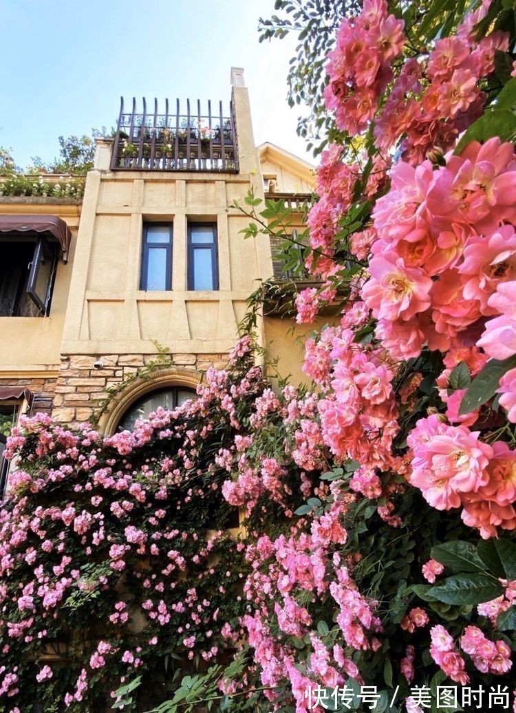 庭院改造:50㎡的下沉式庭院造花园,有地我也建一个,太好看了!