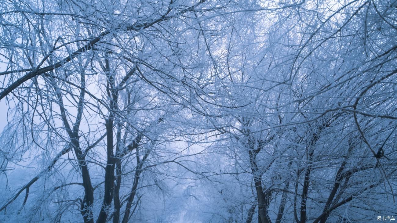 老年|在寂静雪原 遇见雪花真实的形状