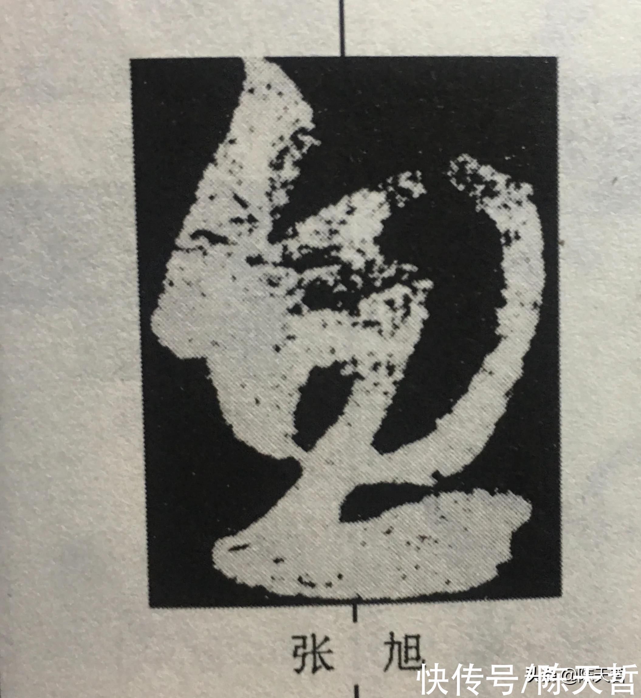 祝允明|怀素之心与张旭、王羲之、祝允明等人相比,是跳动的有旋律的心