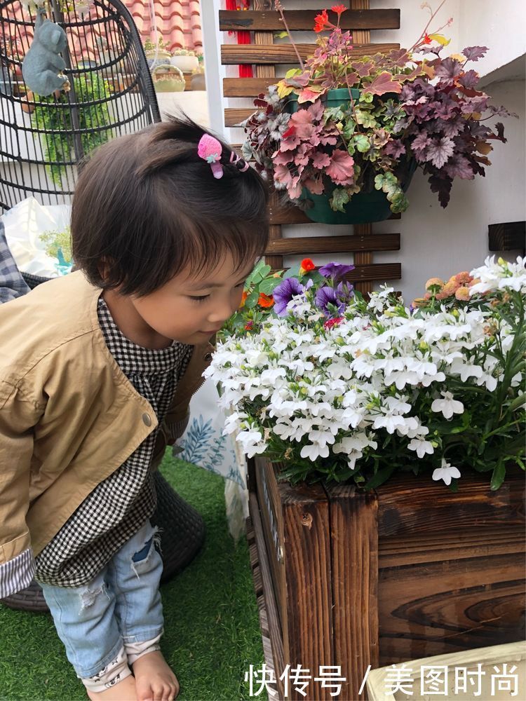 阳台|DIY改造17㎡屋顶花园，忙得不亦乐乎，在喧嚣城市打造一隅静谧