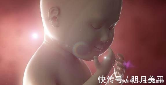 怀孕|四维做到一半，小家伙竟然在妈妈腹中干“坏事”，连医生都乐了