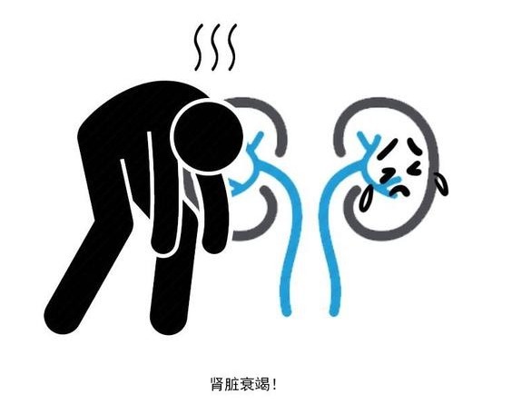 肾脏|长寿的男人，小便会有四个“突出”特征，若你全都符合，恭喜你！