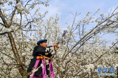 化屋村人的新年心愿