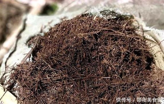 茉莉花|野外捡点“这种土”,栀子花茉莉花最喜欢,透气有营养,省钱好用!