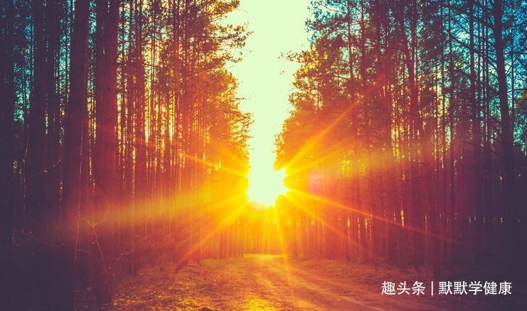 黄帝内经|老中医送你3个养生秘诀!夏天如何养心脾、祛暑湿、养阳气!