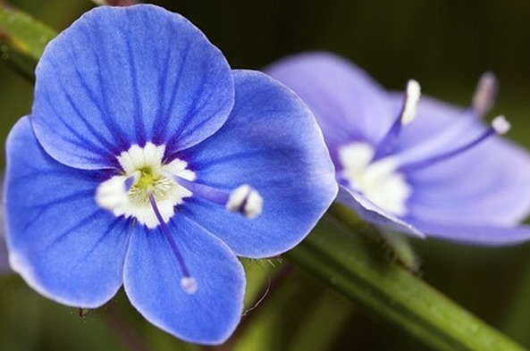 家庭|父母的嘴,决定了一个家庭的命运,说话的4个禁忌!