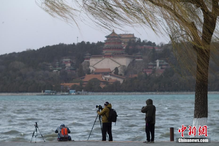 北京冬奥会|途经长城、颐和园，火炬传递开启！这些亮点你get了吗？