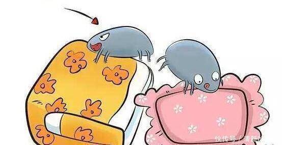 螨虫|床垫用久成螨虫窝,婆婆教我用这一土方法,把螨虫消除得干干净净!