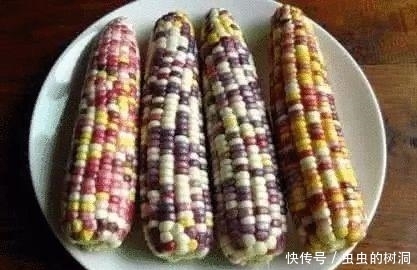 湿气太重怎么办?常吃几种食物,有助于健康