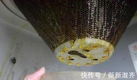 养花就用它做花肥,半年追加一次,比柳枝水、阿司匹林实用