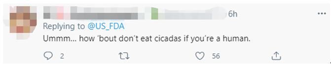 巧克力|美食专家鼓励美国民众抓蝉吃：别嫌弃！可炒可炸！