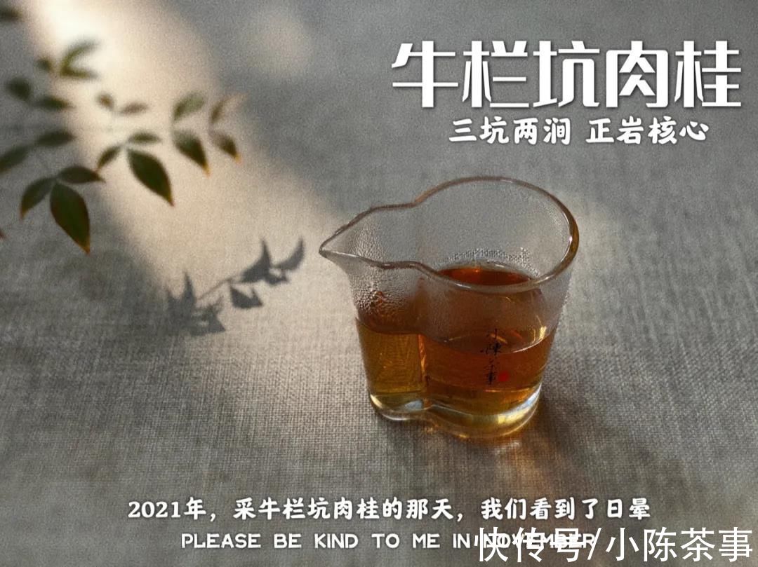 买茶名、买包装、买大全…4个常见的行为，都是买六大茶类的禁忌