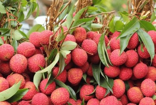 病变|肝不好的可以吃葡萄吗?提醒:想养肝,4种水果多吃,不妨了解下