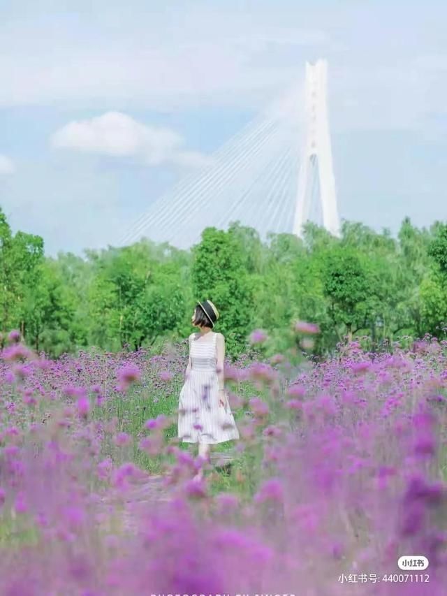 武汉|武汉夏天最火的那些花海，看这一篇就够了！