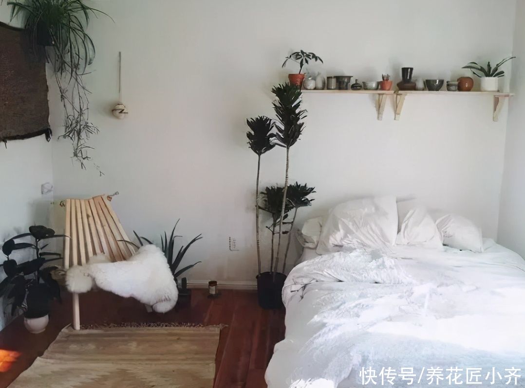 养花人都有的“迷惑行为”,只有爱花之人才懂,快看看你中了几条