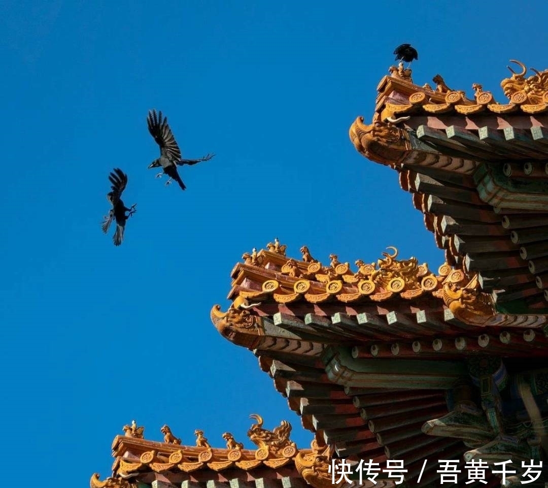 乡书|唐代诗人仅流传10首诗,其中一首却被宰相看上,短短4句成典范