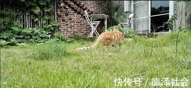 小院|自家小院简单改造就很美，生活废物可以利用，根本花不了多少钱！