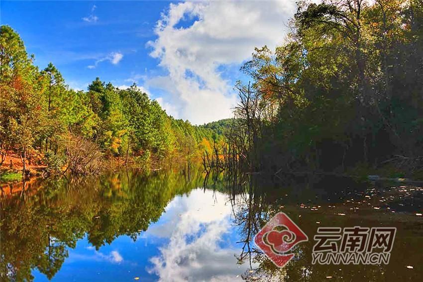 湿地|【高清组图】云南昌宁：湿地秋色醉天堂