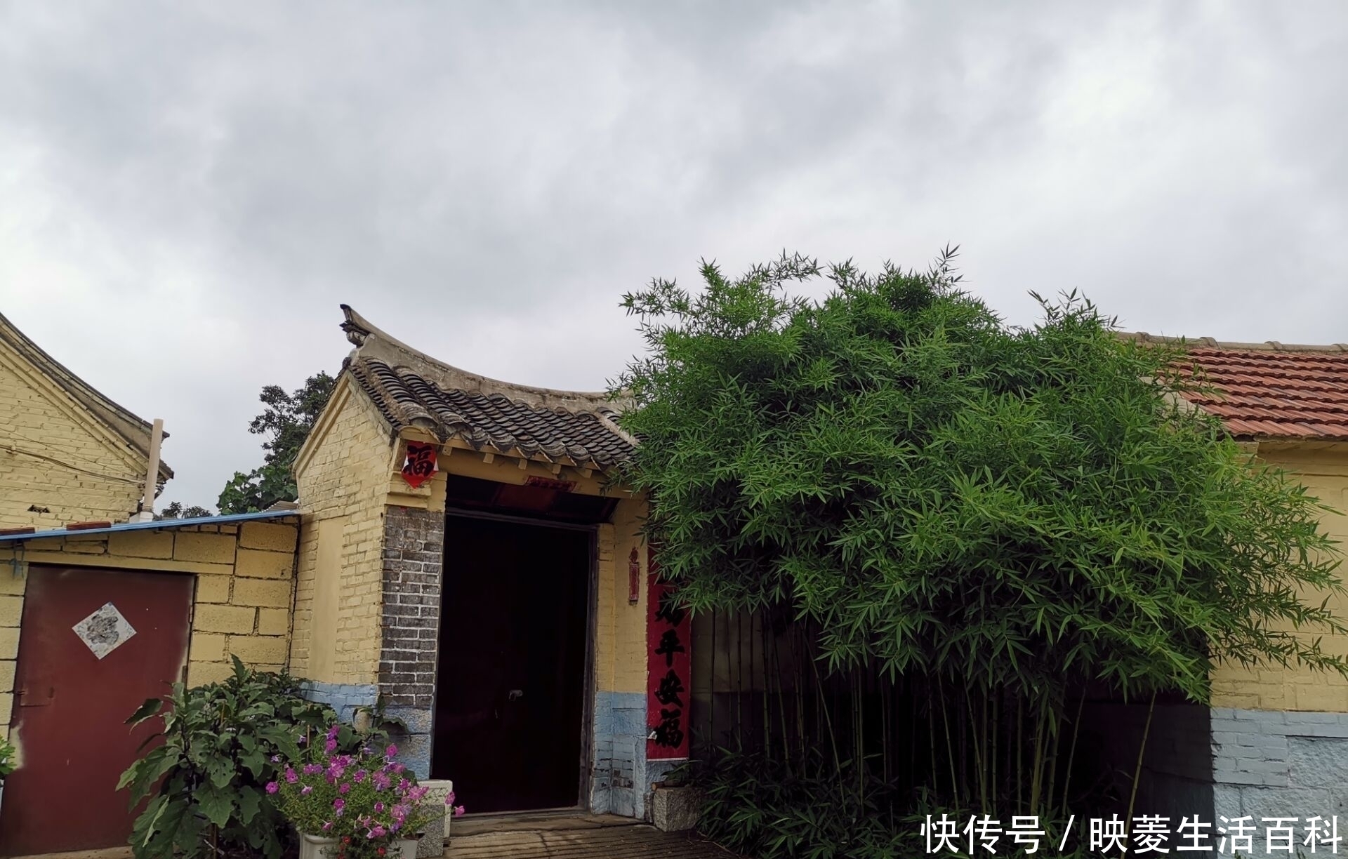 喜欢竹子|农村俗语“房前不栽竹,屋后不栽树”为什么房前不能栽竹子