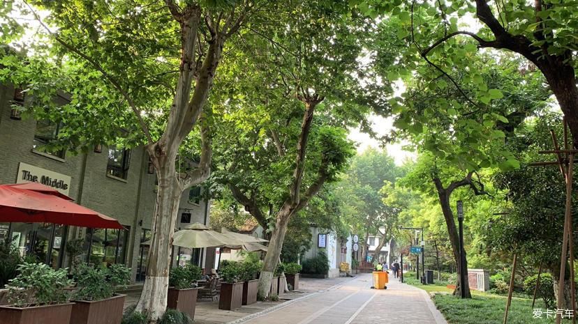 运河|大山深处的运河别院，碧水青山的田园风光，景色格外迷人！