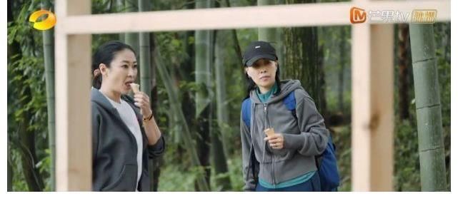 关之琳|港台美人今昔对比,钟楚红满脸皱纹守寡半生,年轻关之琳颜值爆表