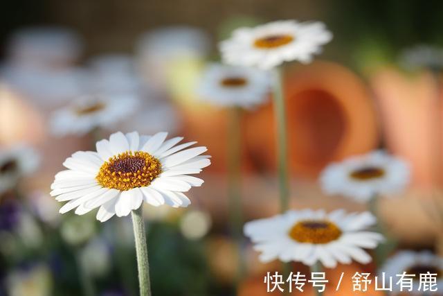 有钱人!人活一世,一眨眼就到头了:人生最大的意义,不过是做好这件事