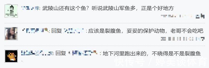 武陵山腹地现成群“奇鱼”,梭型无鳞,似从地下河游出