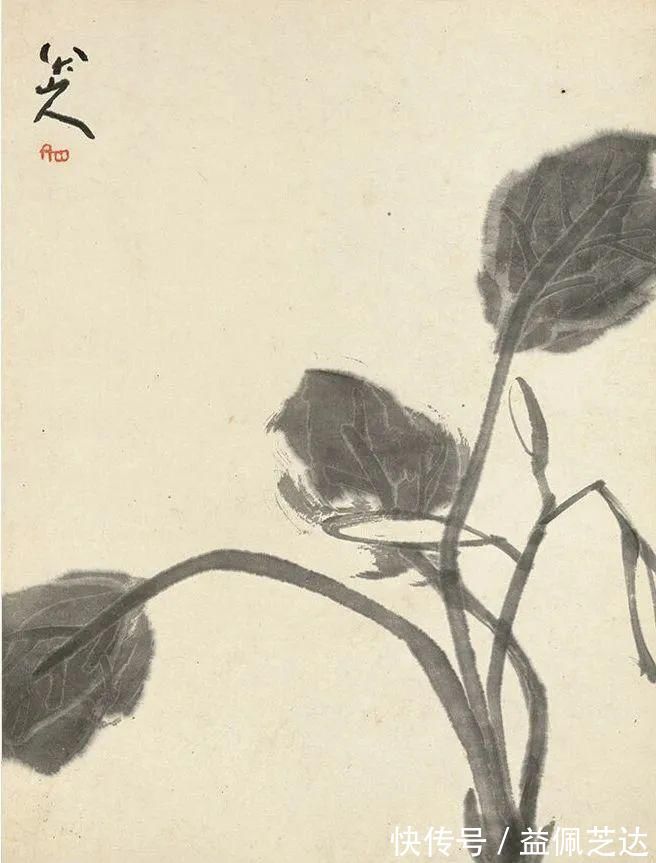 笔墨|这组册页比较全面的展现了八大山人的笔墨情怀,有山水、花鸟…