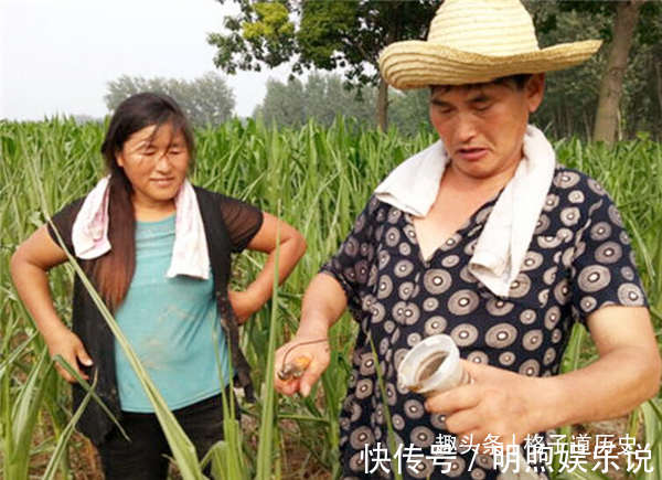 农民$朱之文的“丑书”又涨价了?专家表示:这是出来祸害书法市场