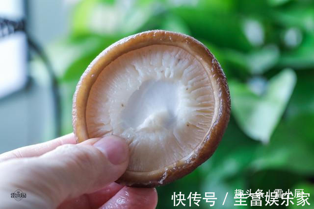 香菇直接用清水洗是大错,学会这个小妙招,脏东西小虫子乖乖溜走