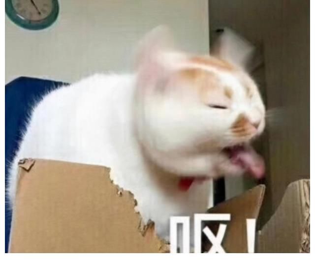 要点脸吧！别让整个中国陪你一起丢脸