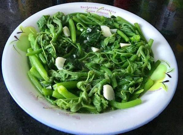  精选细选家常饭推荐，开胃又养胃，健康又实惠，赶紧试试吧