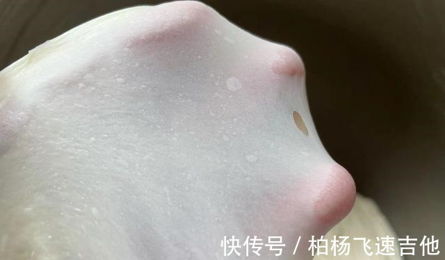 豆沙馅|孩子特别喜欢的小面包,细腻拉丝零失败,蓬松暄软口感好!