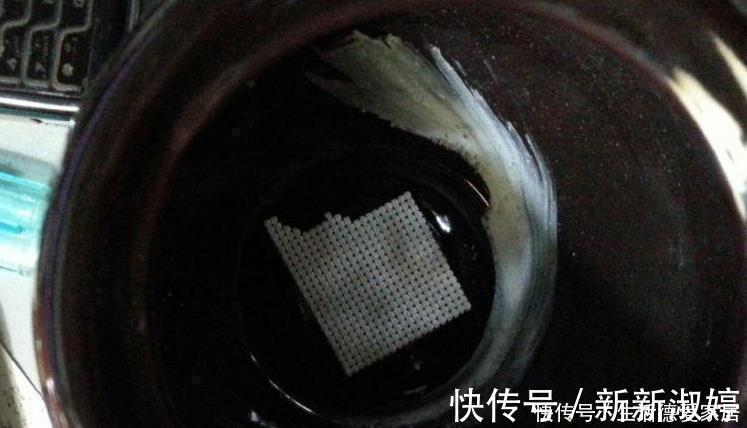 花盆里加点这个，不烂根不黄叶，轻松养满盆