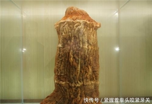 专家|“太岁”究竟是什么?为何被人奉若神明?专家:它违背了自然规律